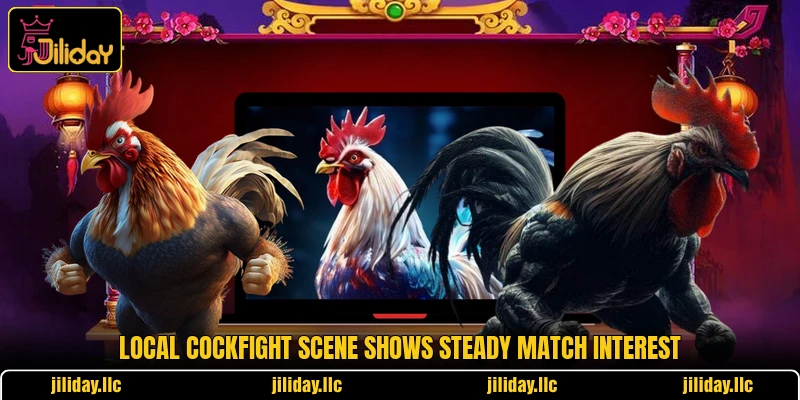 Local cockfight scene shows steady match interest