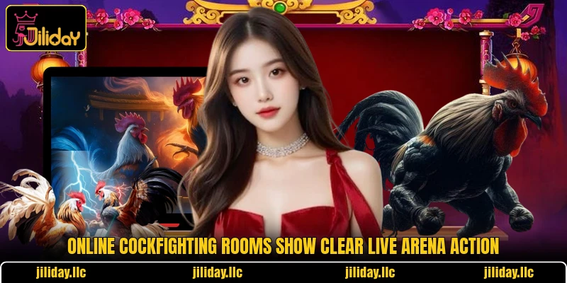 Online cockfighting rooms show clear live arena action Online cockfighting rooms show clear live arena action