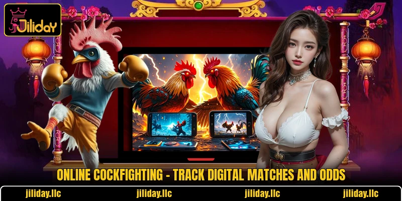 Online Cockfighting - Track Digital Matches And Odds