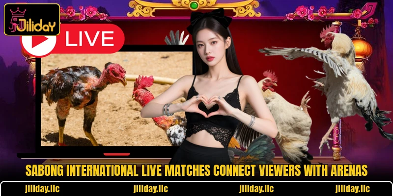 Sabong International Live matches connect viewers with arenas