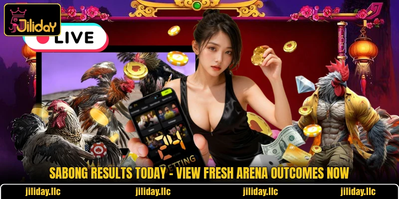 Sabong Results Today - View Fresh Arena Outcomes Now