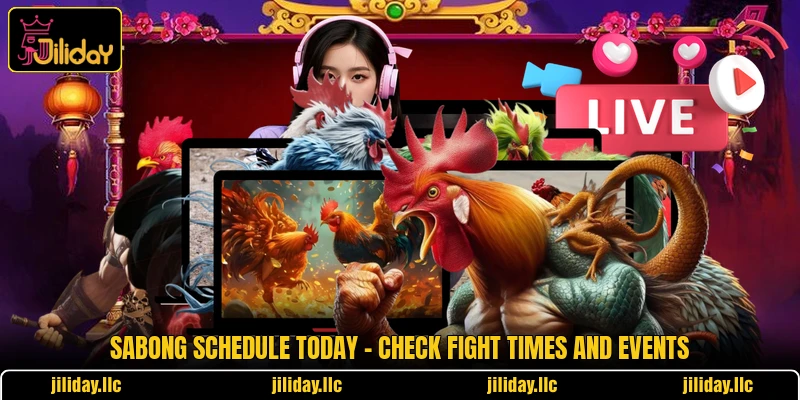 Sabong Schedule Today - Check Fight Times And Events